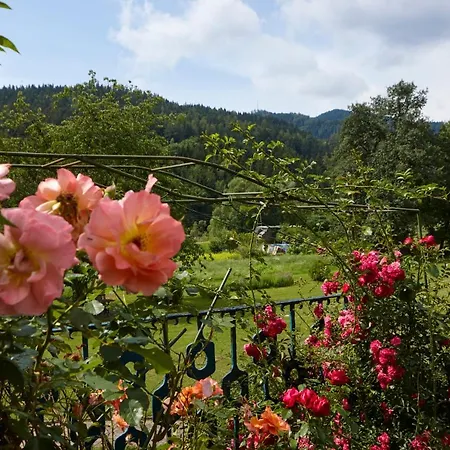 Schattleitner Hotell Bruckl