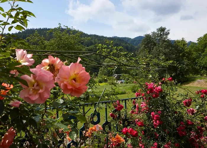 Schattleitner מלון Bruckl